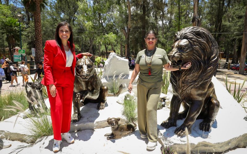 El ZooLeón vive una de las transformaciones más importantes de su vida