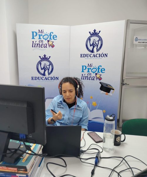 Mi profe en Línea: Aprender sin miedo a preguntar