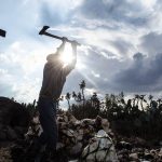 Guanajuato es el segundo productor nacional de agave tequilero