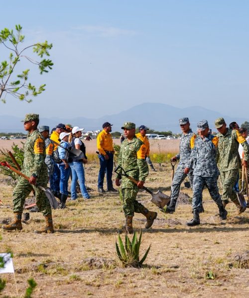Guanajuato se suma a la Jornada Nacional de Reforestación