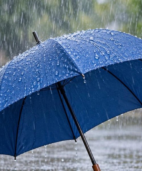 Pronostican lluvias ligeras y descenso de la temperatura