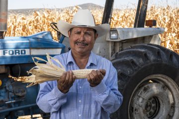 Los cultivos de Edie Vázquez producen más con el apoyo de Tú Puedes Guanajuato