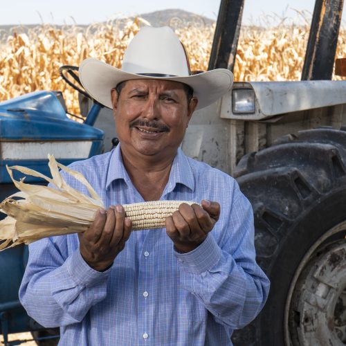Los cultivos de Edie Vázquez producen más con el apoyo de Tú Puedes Guanajuato