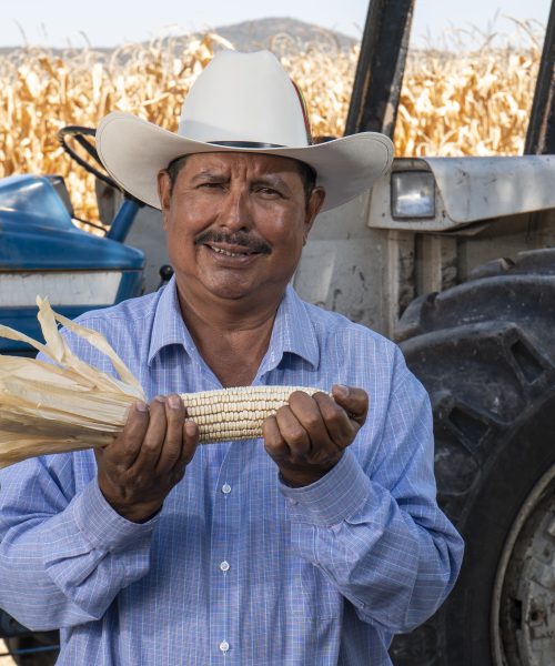 Los cultivos de Edie Vázquez producen más con el apoyo de Tú Puedes Guanajuato