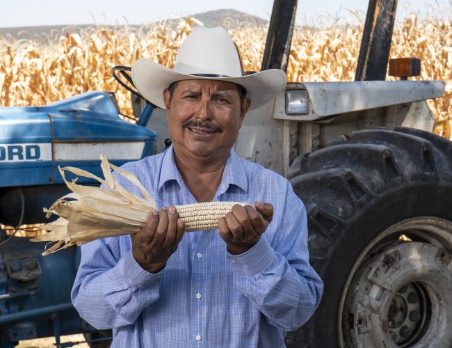 Los cultivos de Edie Vázquez producen más con el apoyo de Tú Puedes Guanajuato