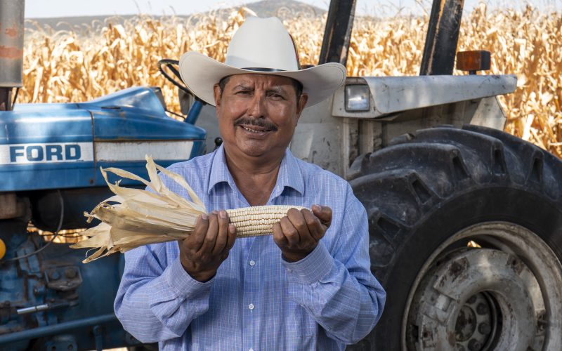 Los cultivos de Edie Vázquez producen más con el apoyo de Tú Puedes Guanajuato
