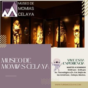 banners momias celaya